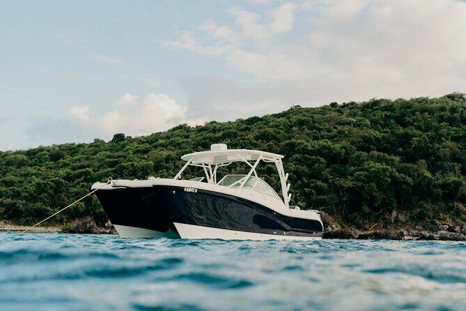 Full-Day Private Boat Charter from St. John or St. Thomas - Detailed Review of the Full-Day Private Boat Charter