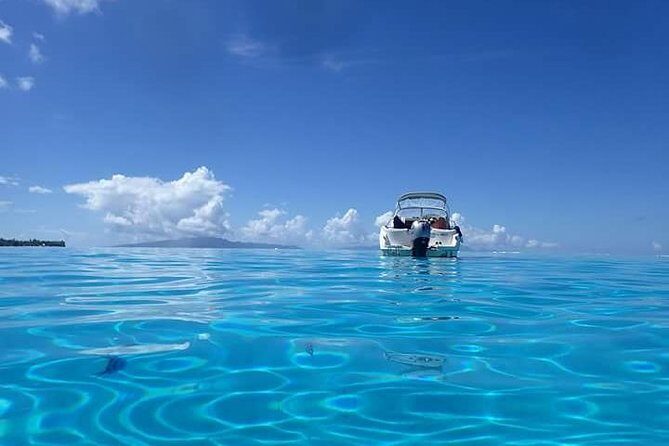 Full-Day Private Boat Tour of Bora Bora Lagoon with Snorkel - Considerations and Practical Details
