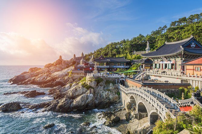 Full Day Private Busan Highlight Tour with Licensed Guide - Why This Tour Works for Travelers