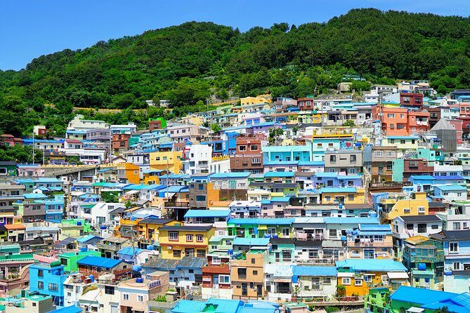 Full Day Private Busan Highlight Tour with Licensed Guide - Cost and Value