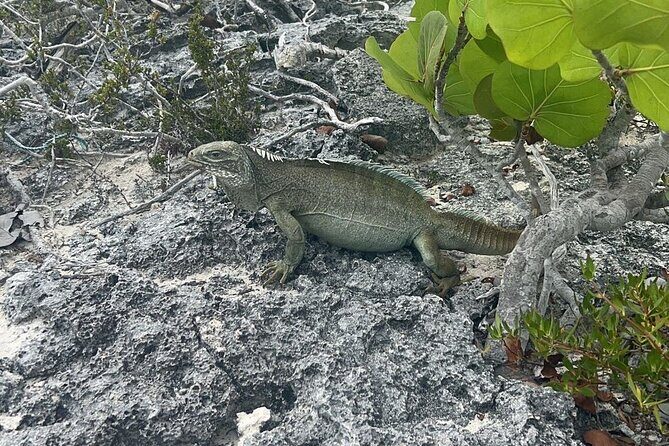Full Day Private Charter Tour Turks and Caicos - Frequently Asked Questions