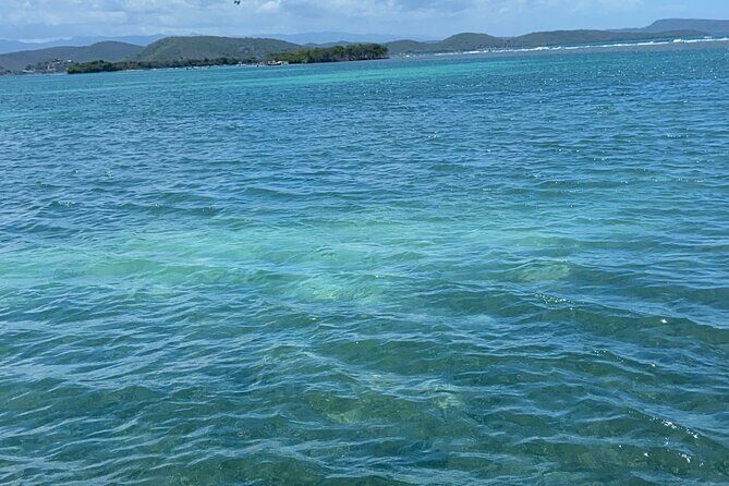 Full-Day Private Cruise in Cayo Caracoles - A Private Day on the Waters of Cayo Caracoles: An Honest Review