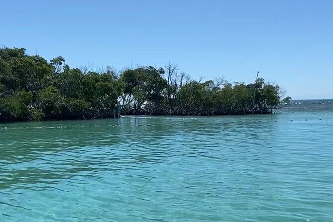 Full-Day Private Cruise in Cayo Caracoles - The Sum Up: Is This Tour Worth It?