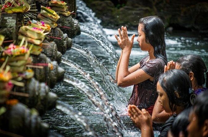 Full-day Private Cultural Tour of Ubud in Bali - What to Expect on Your Ubud Day Adventure