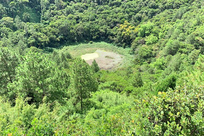 Full Day Private custom Tour with Drive-Guide in Mauritius - Exploring the Details: What This Tour Offers