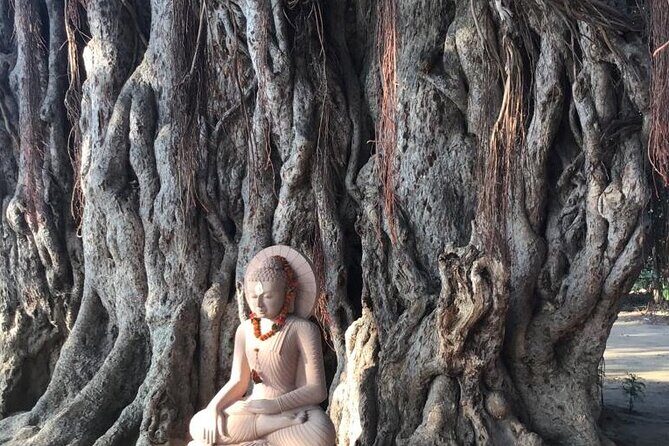 Full-Day Private Guided Bodhgaya Tour with Pick Up - What’s Included and What to Expect