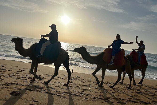 Full-Day Private Guided Tour - An In-Depth Look at the Full-Day Tour