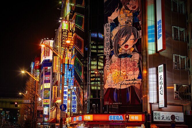 Full-Day Private Guided Tour in Tokyo - The Practical Side: What’s Included and What’s Extra
