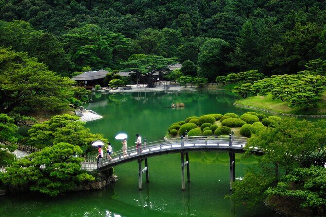 Full-Day Private Guided Tour in Tokyo - The Experience and Its Value