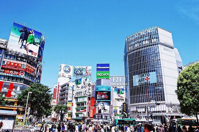 Full-Day Private Guided Tour in Tokyo - In The Sum Up