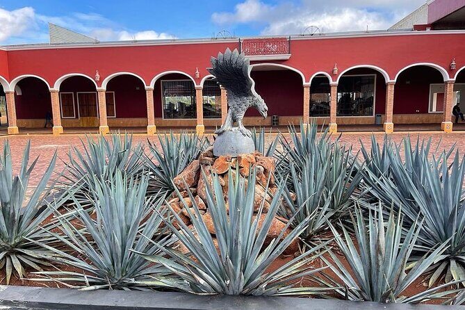 Full Day Private Guided Tour of Arandas Jalisco Distilleries - Key Points