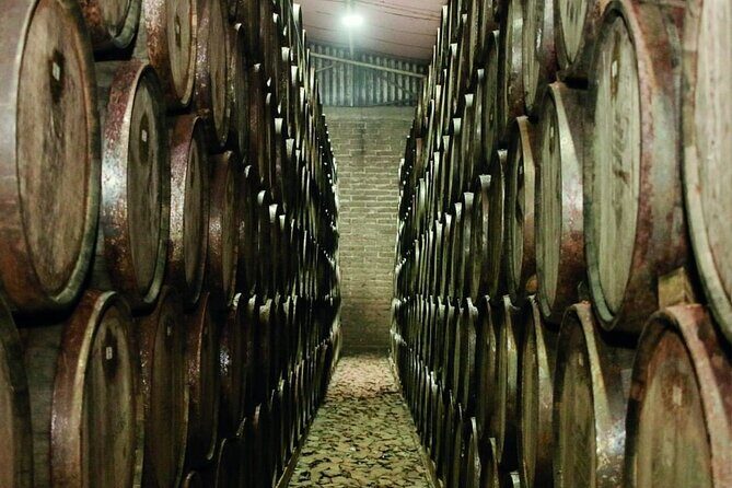 Full Day Private Guided Tour of Arandas Jalisco Distilleries - What’s Included and What’s Not