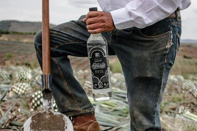 Full Day Private Guided Tour of Arandas Jalisco Distilleries - Practical Tips for Travelers