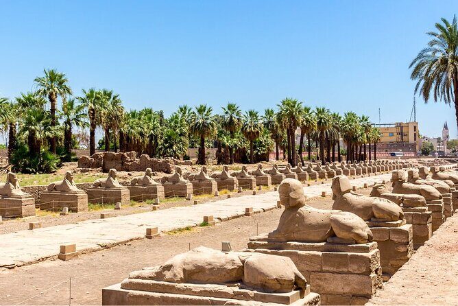 Full-day Private Guided Tour of East and West Bank in Luxor - FAQ