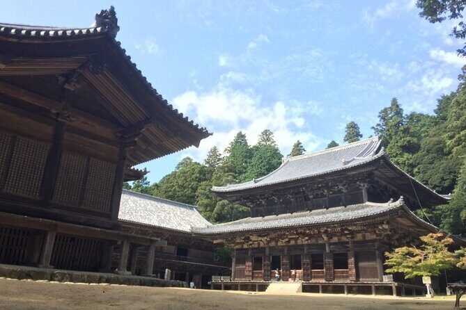 Full-Day Private Guided Tour to Himeji Castle - Who Would Enjoy This Tour?
