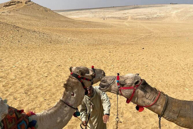 Full Day Private Guided Tours to Pyramids & Sphinx - Why Choose This Tour?