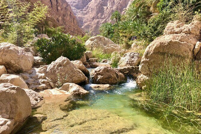 Full-Day Private Guided Wadi Shab and Bimmah Sink Hole Tour - Who Would this Tour Suit Best?