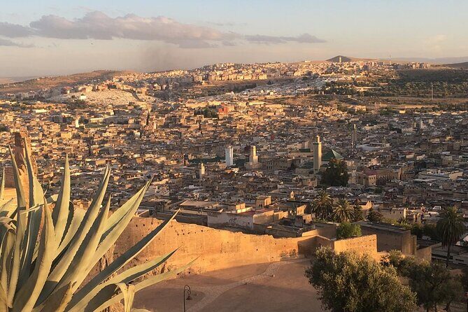 Full -Day Private Guided Walking Tour Of Fez Medina - How the Tour Works and What to Expect