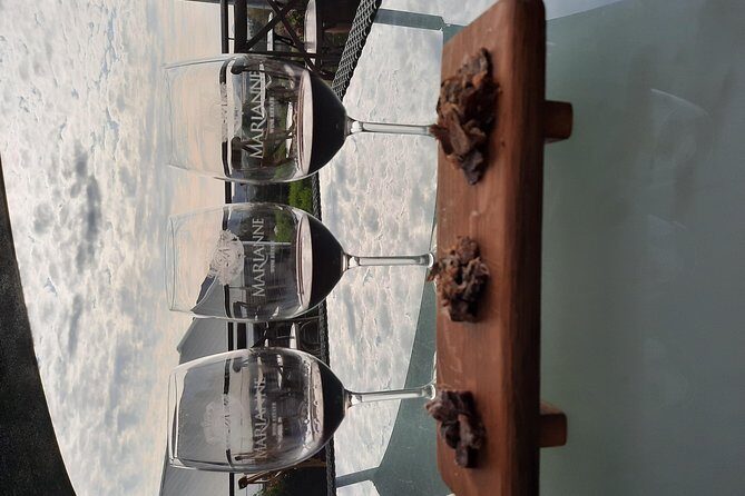 Full-Day Private Guided Wine Tasting Tour of Cape Wineries - FAQ