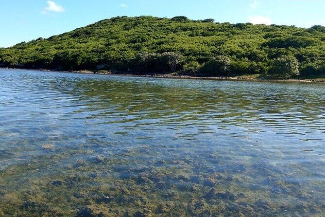 Full-Day Private Hiking le Morne Mountain & Seafood Lunch at Islet Fourneau - Who Will Love This Tour
