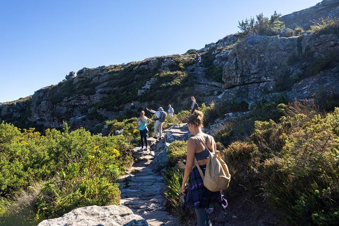 Full Day Private Hiking Table Mountain & City - Why This Tour Offers Great Value