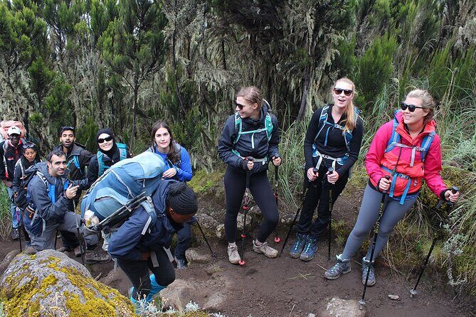 Full Day Private Hiking Tour to Kilimanjaro Mountain - Reviews: Authentic Perspectives