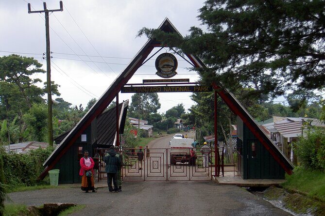 Full Day Private Hiking Tour to Kilimanjaro Mountain - Who Should Consider This Tour?