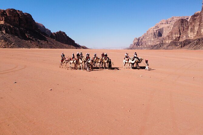 Full Day Private Jeep Tour in Wadi Rum - Key Points