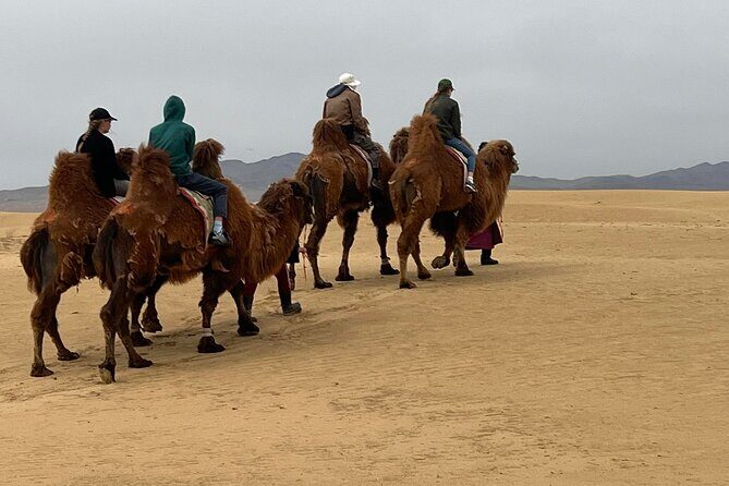Full Day Private Jeep Tour to Elsen Tasarkhai, Semi-Gobi - What Travelers Say