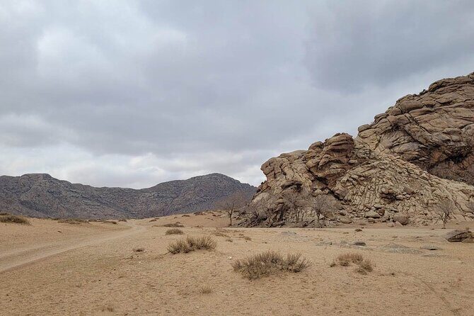 Full Day Private Jeep Tour to Elsen Tasarkhai, Semi-Gobi - Who Is This Tour Best For?