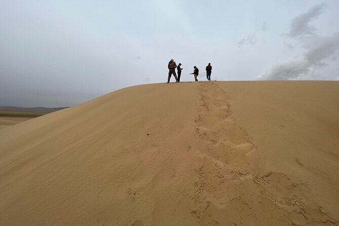 Full Day Private Jeep Tour to Elsen Tasarkhai, Semi-Gobi - FAQ