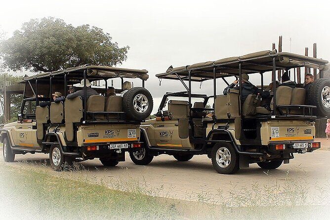 Full Day Private Kruger Park Safari - The Experience of the Guides and Vehicles