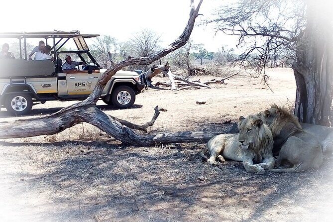 Full Day Private Kruger Park Safari - Final Thoughts