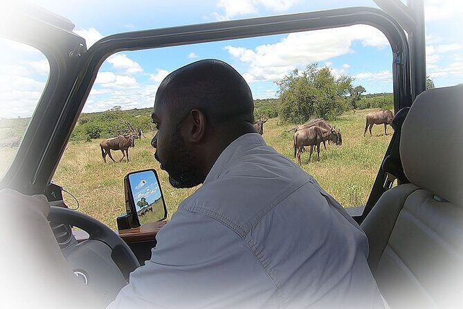 Full Day Private Kruger Park Safari - FAQ