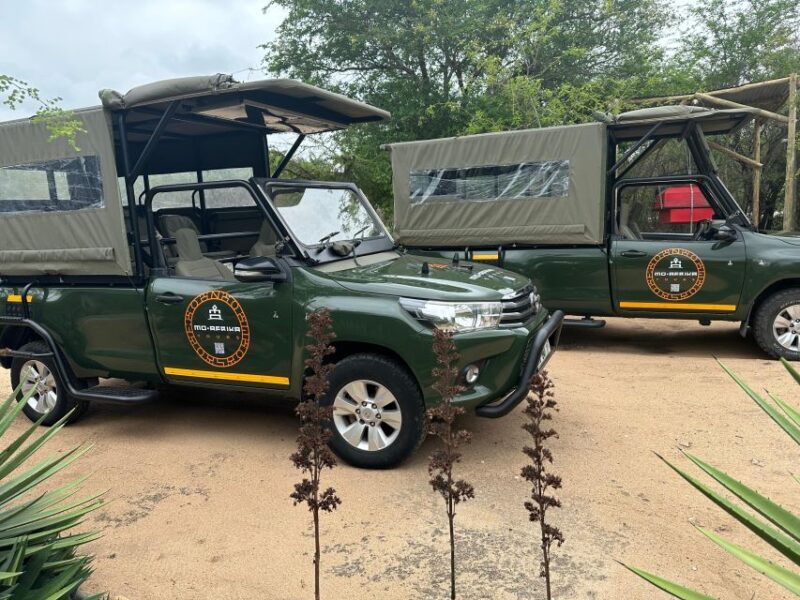 Full Day Private Kruger Safari from Hazyview - Key Points