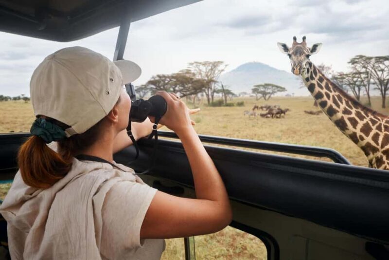 Full Day Private Kruger Safari from Hoedspruit - Final Thoughts