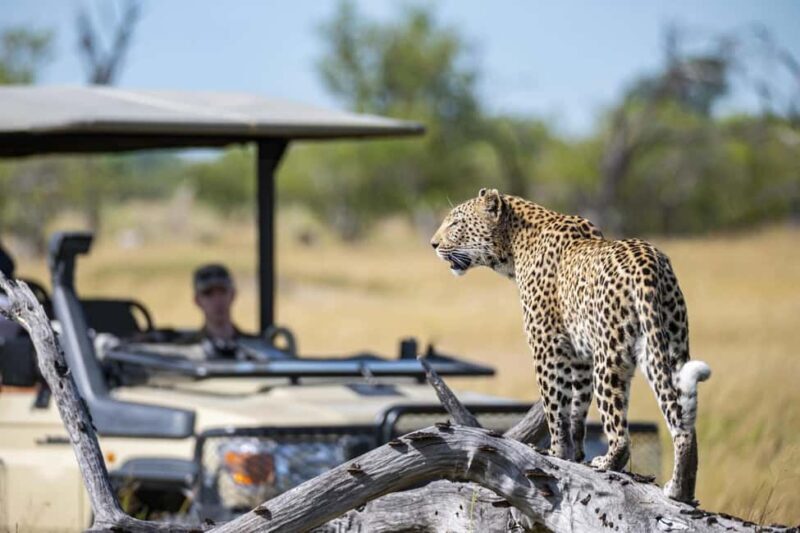 Full Day Private Kruger Safari from Hoedspruit - FAQ