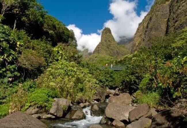 Full Day Private Maui Tour - Introduction