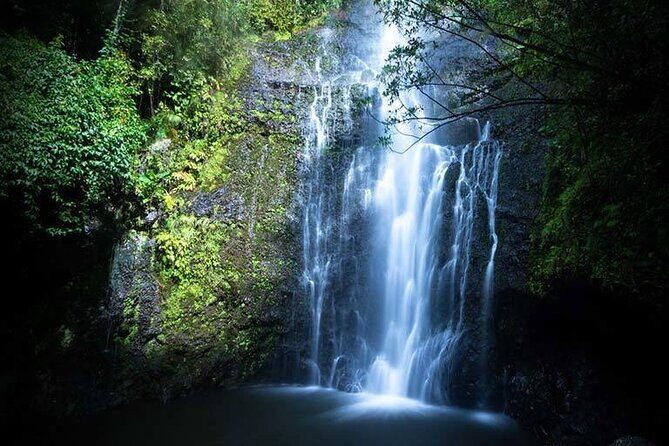 Full Day Private Maui Waterfall, Beach & Hana Tour - An In-Depth Look at the Maui Waterfall & Hana Tour