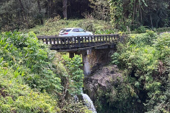 Full Day Private Maui Waterfall, Beach & Hana Tour - In The Sum Up