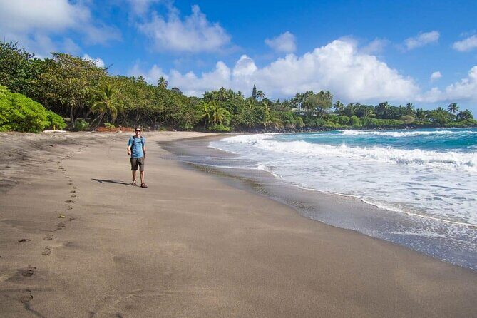 Full Day Private Maui Waterfall, Beach & Hana Tour - References