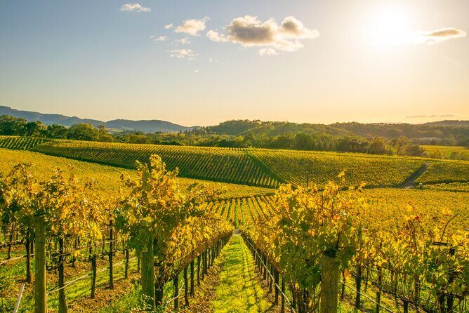 Full-Day Private Napa Valley Wine Tour from San Francisco - Key Points
