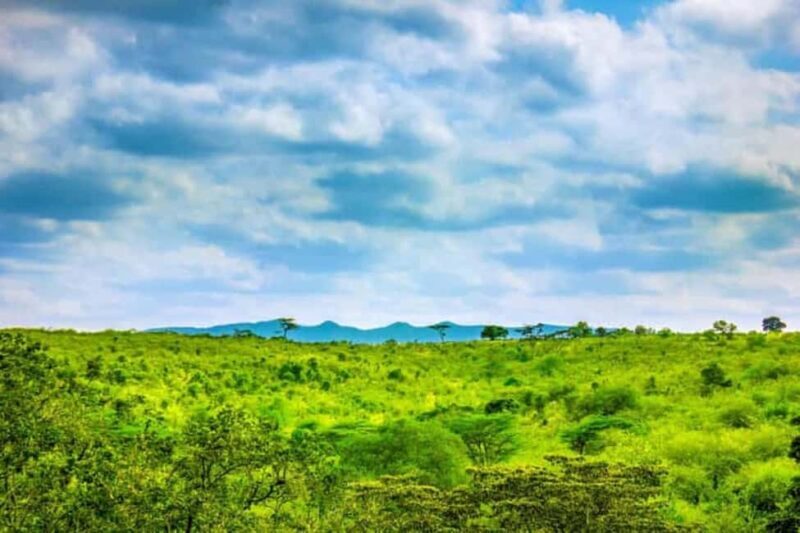 Full Day Private Ngong Hills Adventure from Nairobi - FAQ