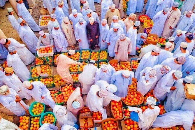 Full Day Private Nizwa/Jebel Akhdar - What’s Included and What’s Not