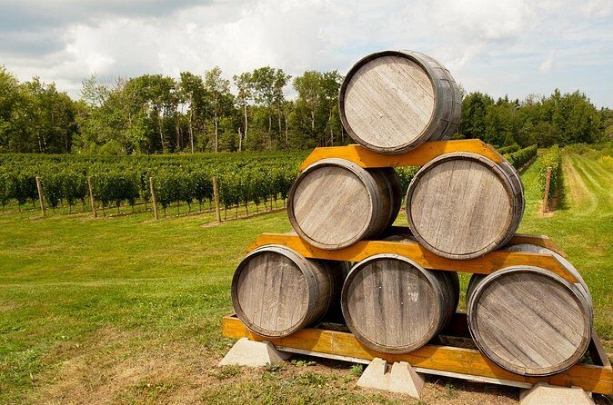Full-Day Private Nova Scotia Wine Tour from Halifax - Who Will Love This Tour?