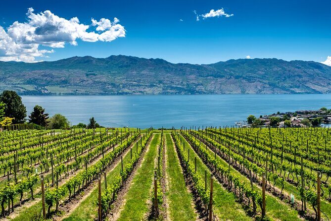 Full-Day Private Okanagan Valley Wine Tour from Kelowna - The Full-Day Private Okanagan Valley Wine Tour from Kelowna: A Balanced Overview