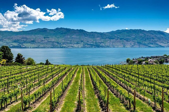 Full-Day Private Okanagan Valley Wine Tour from Kelowna - The Sum Up