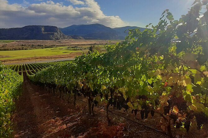 Full-Day Private Oliver & Osoyoos Wine Tour from Kelowna - Key Points