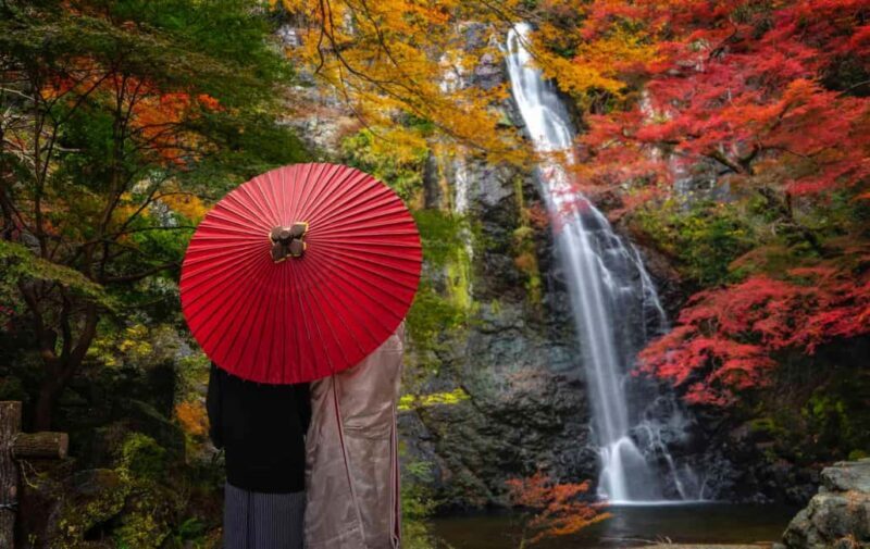 Full Day Private Osaka City Tour with EnglishSpeaking guide - Authentic Highlights and Practical Tips