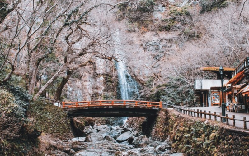 Full Day Private Osaka City Tour with EnglishSpeaking guide - FAQ